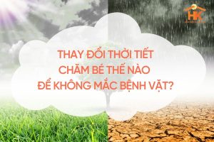 cham-be-khi-thay-doi-thoi-tiet